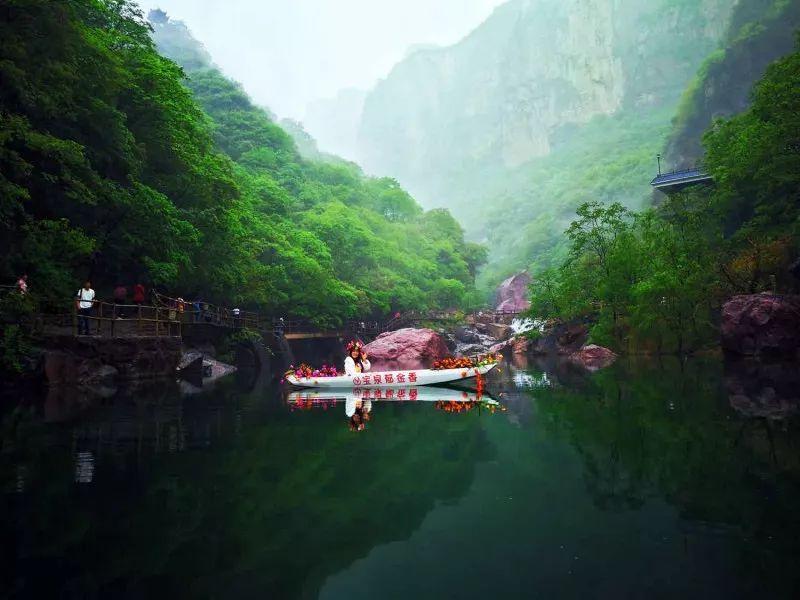 动物帮帮忙保卫家园